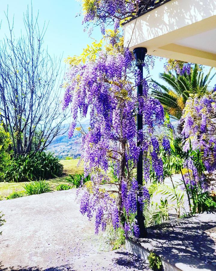 فندق Quinta Do Cabouco ريبيرا برافا المظهر الخارجي الصورة