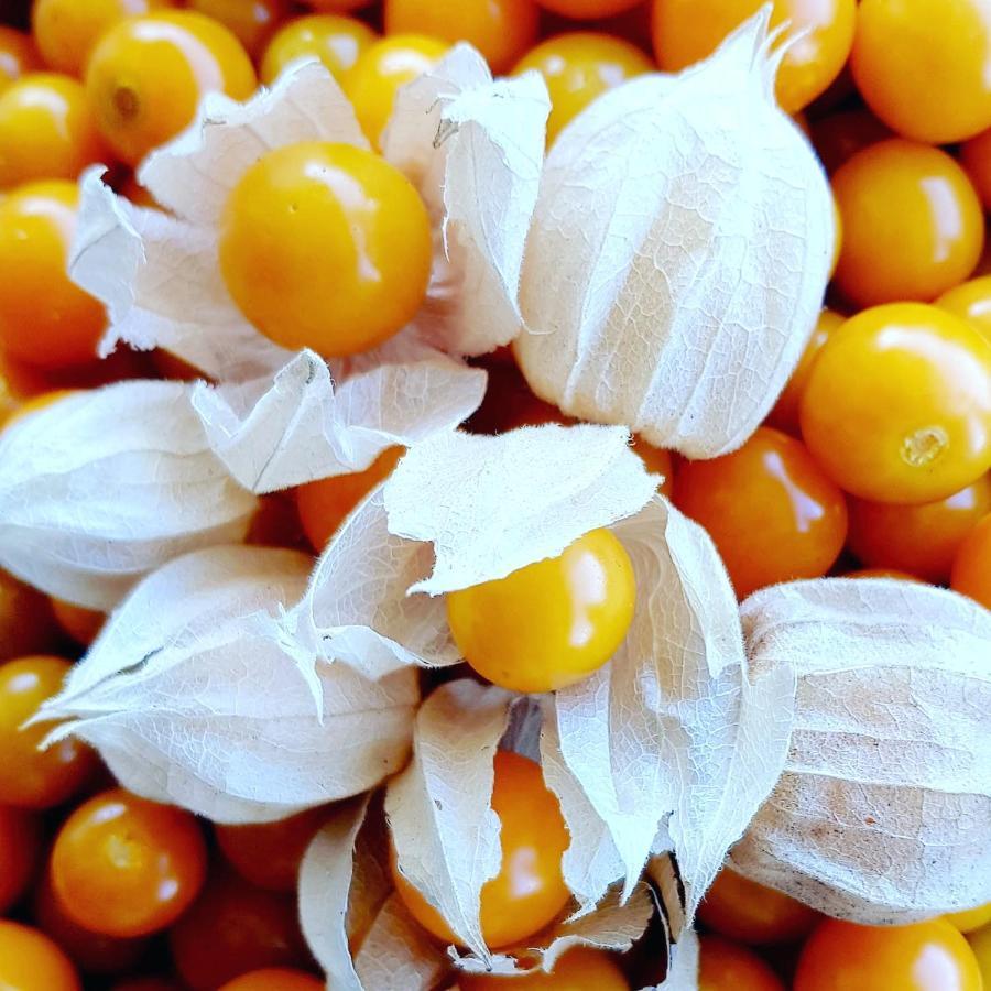 فندق Quinta Do Cabouco ريبيرا برافا المظهر الخارجي الصورة